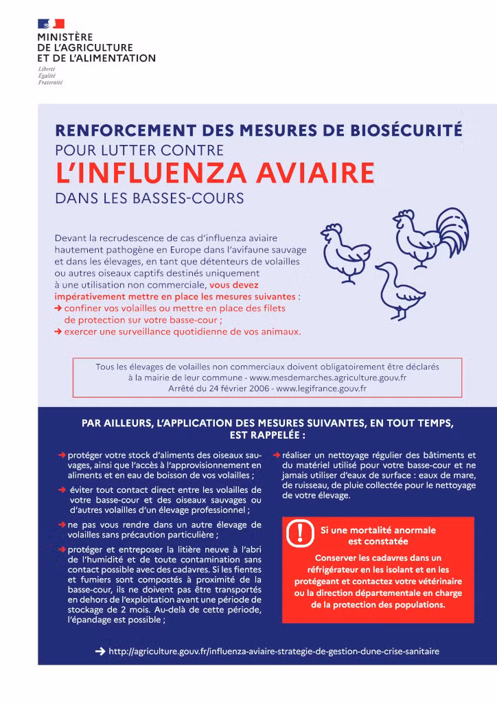 Renforcement des mesures de biosécurité pour lutter contre l’influenza aviaire